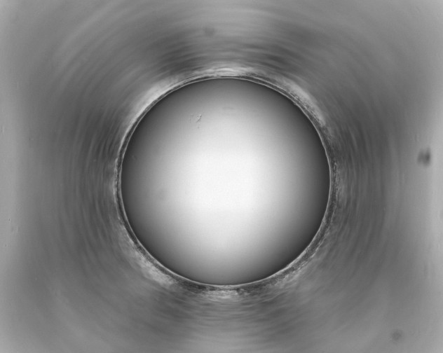 X0000093601186200710291137