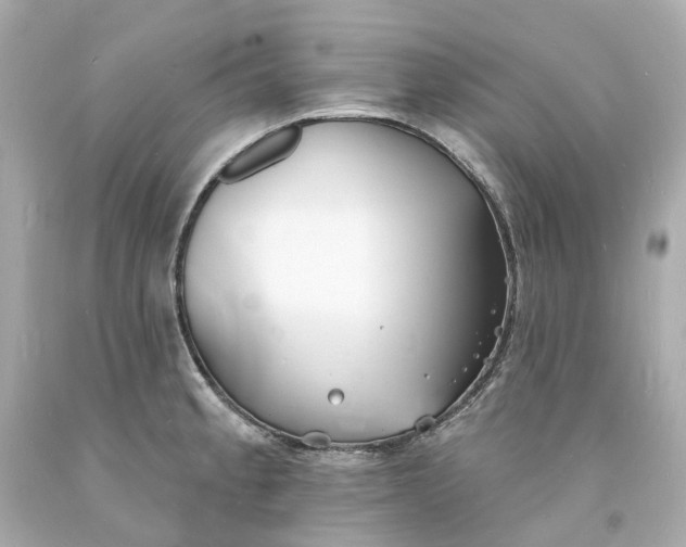 X0000093601189200710291137