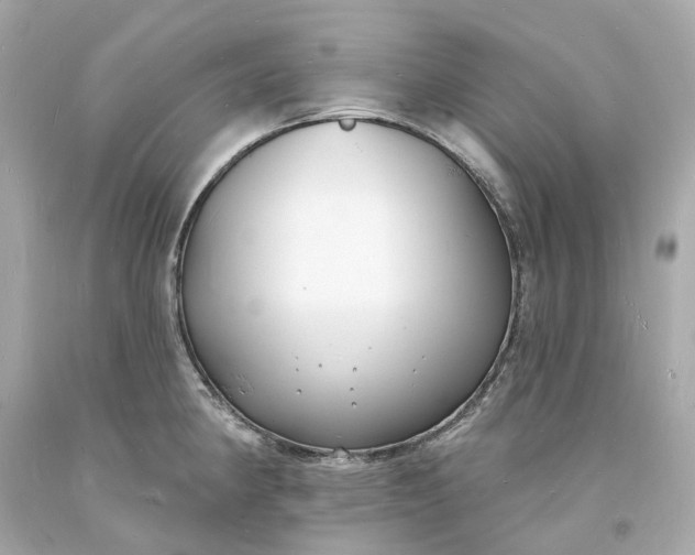 X0000093601190200710291137