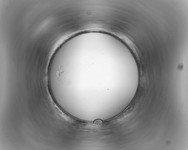 X0000093601191200710291137