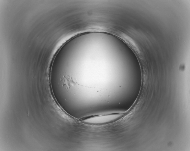 X0000093601192200710291137