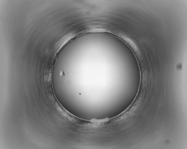 X0000093601193200710291137