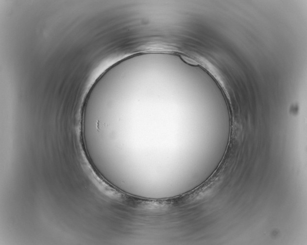 X0000093601195200710291137