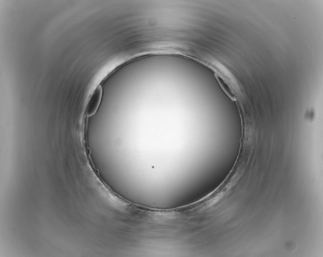 X0000093601196200710291137