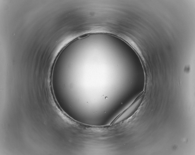 X0000093601197200710291137