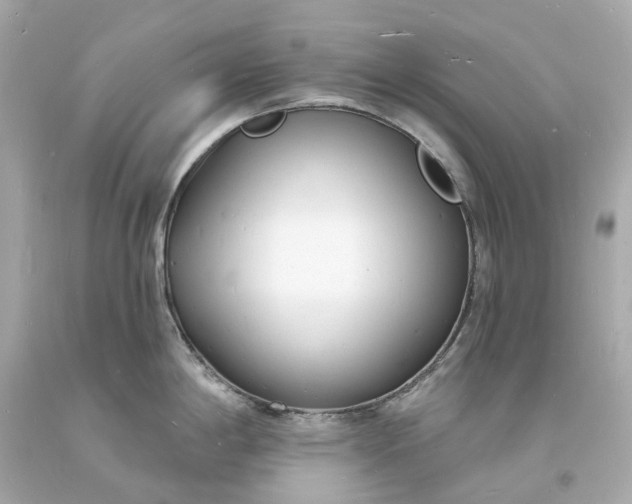 X0000093601198200710291137