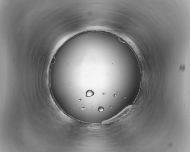 X0000093601199200710291137