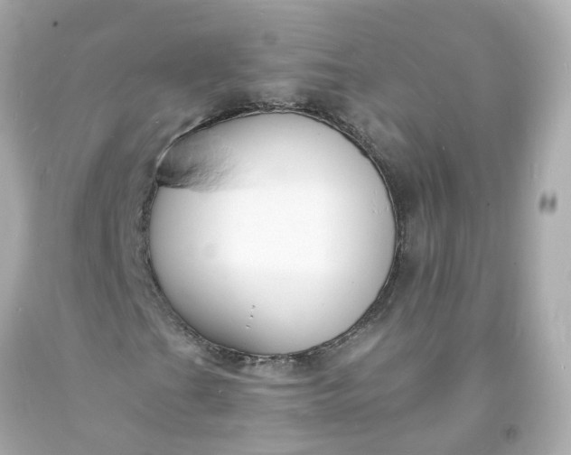 X0000093601201200710291136