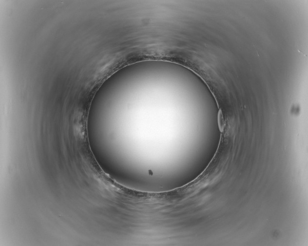 X0000093601202200710291136