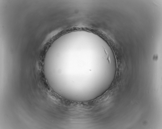 X0000093601207200710291136