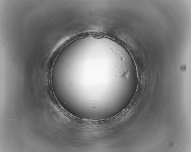 X0000093601208200710291136