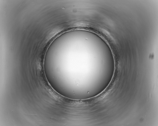 X0000093601209200710291136