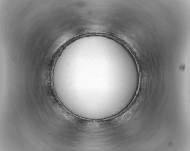 X0000093601211200710291136