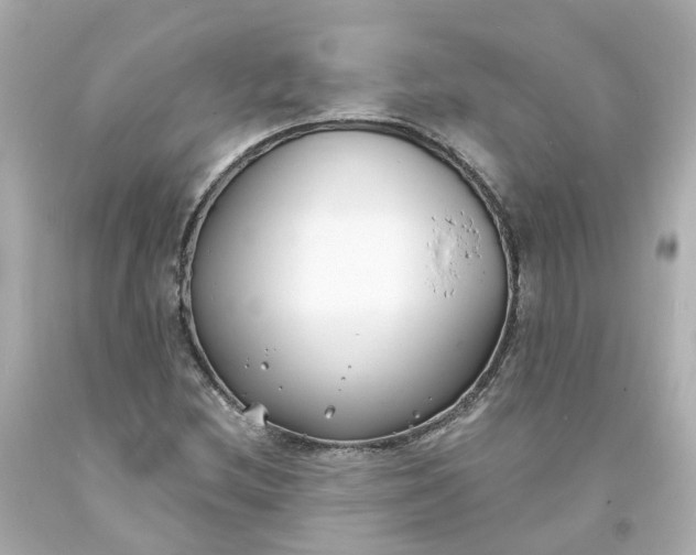 X0000093601212200710291136