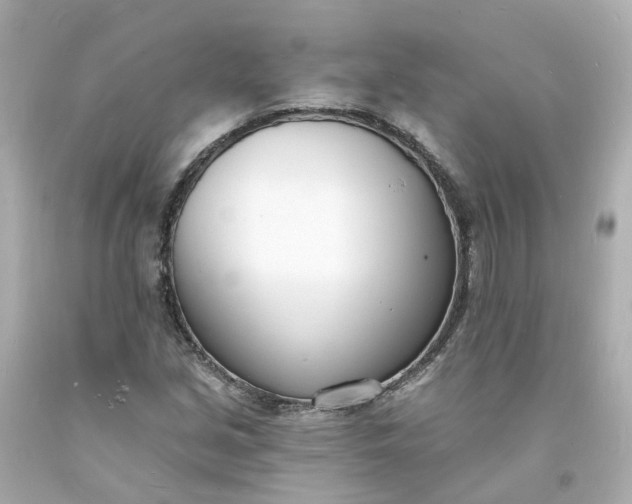 X0000093601213200710291136