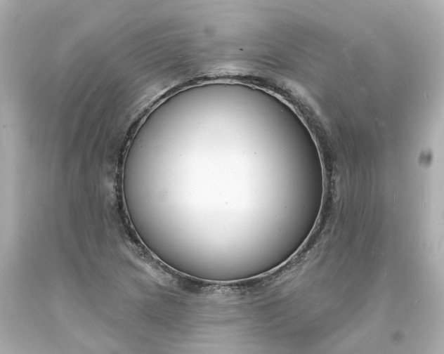 X0000093601217200710291137