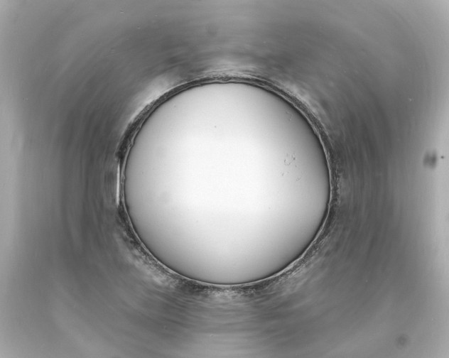 X0000093601219200710291137