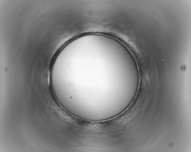 X0000093601221200710291137