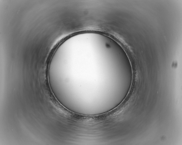 X0000093601222200710291137