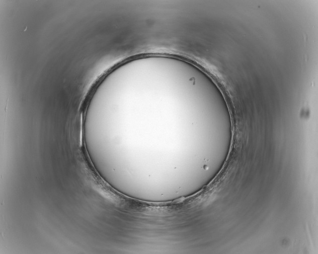 X0000093601223200710291137