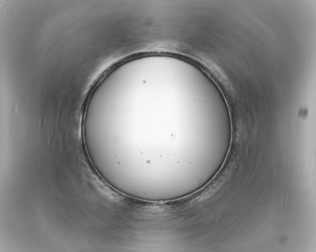 X0000093601224200710291137