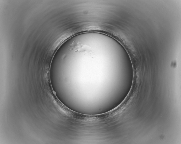 X0000093601225200710291137