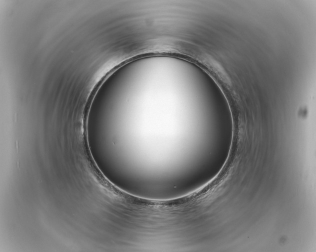 X0000093601226200710291137