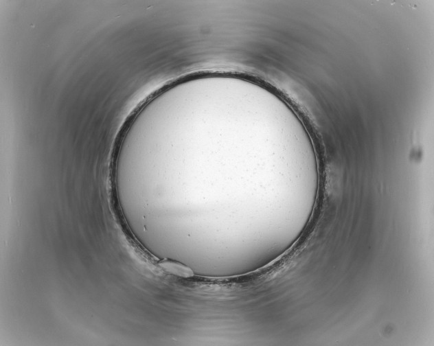 X0000093601229200710291137