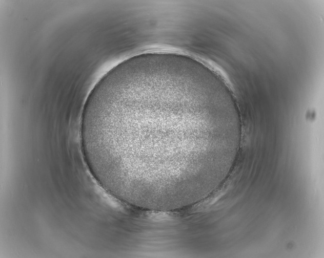 X0000093601231200710291137