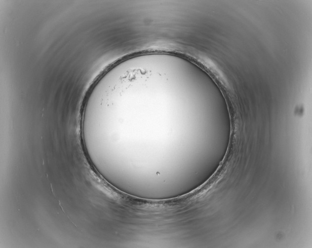 X0000093601232200710291137