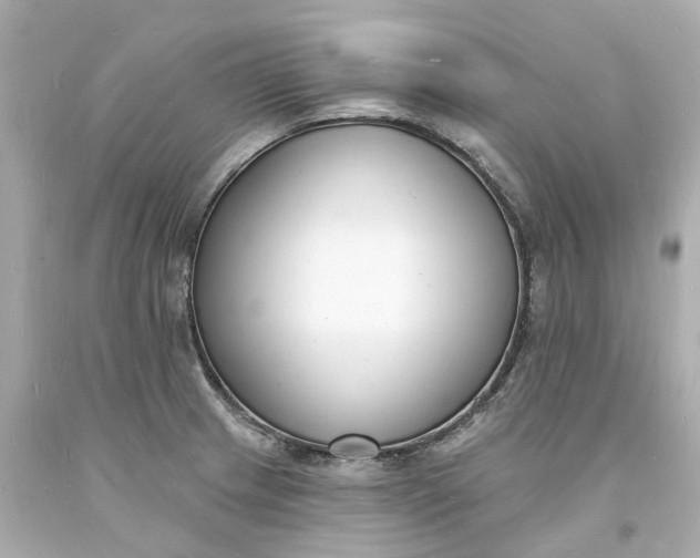 X0000093601233200710291137