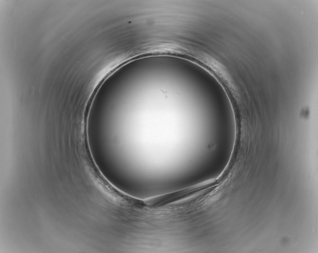 X0000093601234200710291137