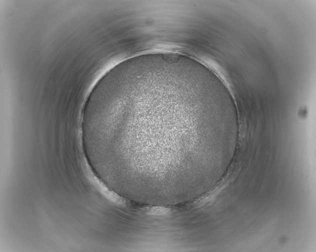 X0000093601235200710291137