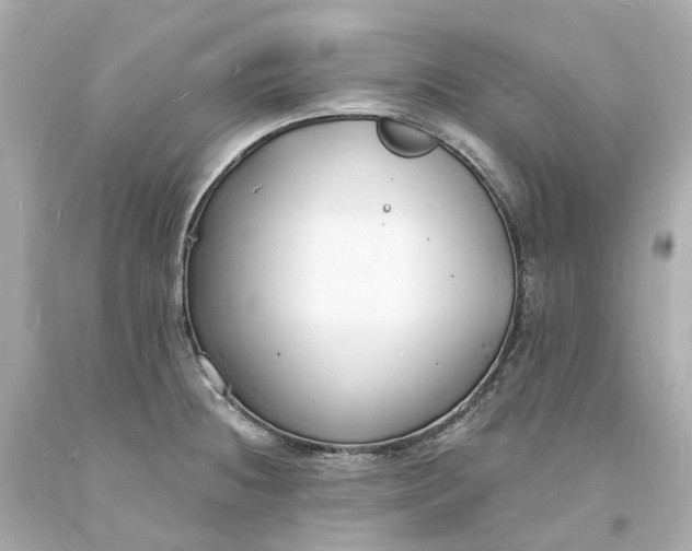 X0000093601236200710291137