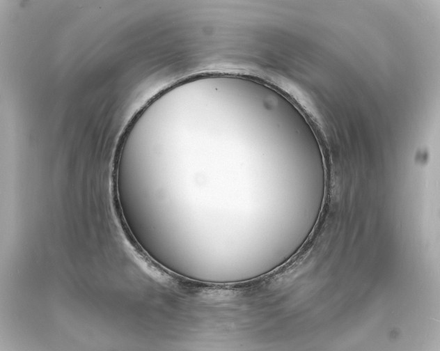 X0000093601237200710291137