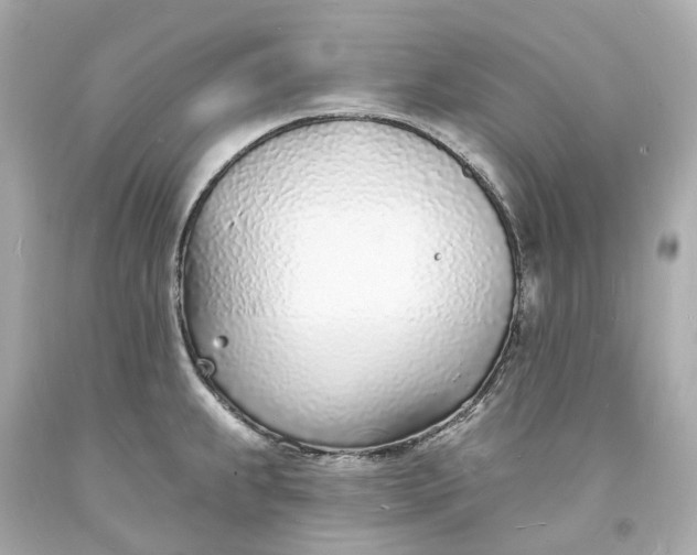 X0000093601239200710291137