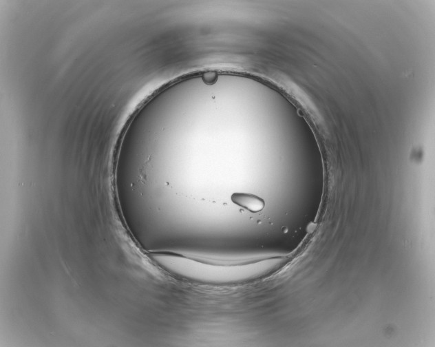 X0000093601240200710291137