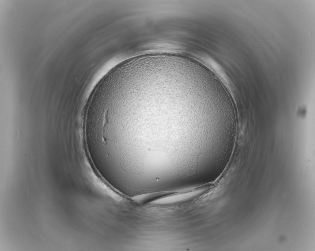 X0000093601243200710291137