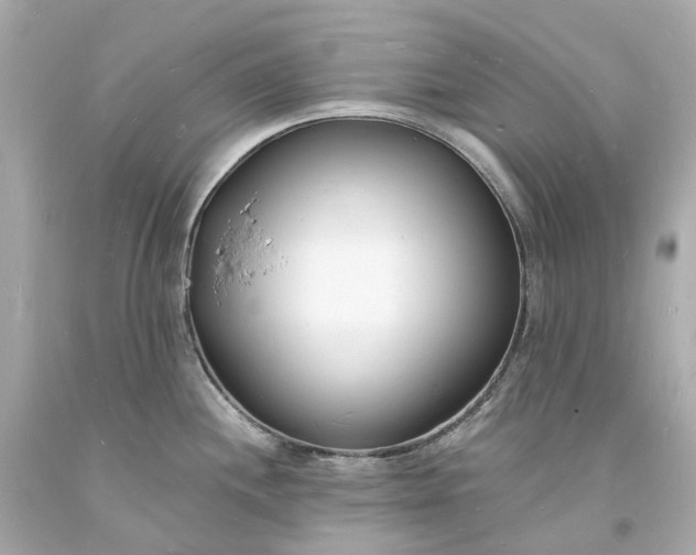 X0000093601244200710291137