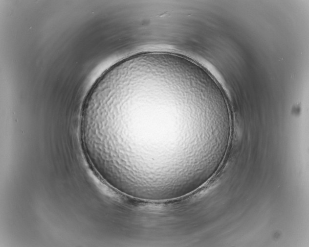 X0000093601245200710291137