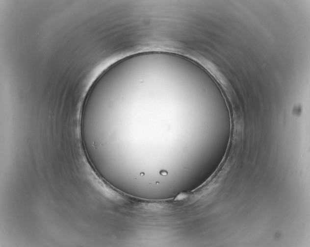 X0000093601246200710291137