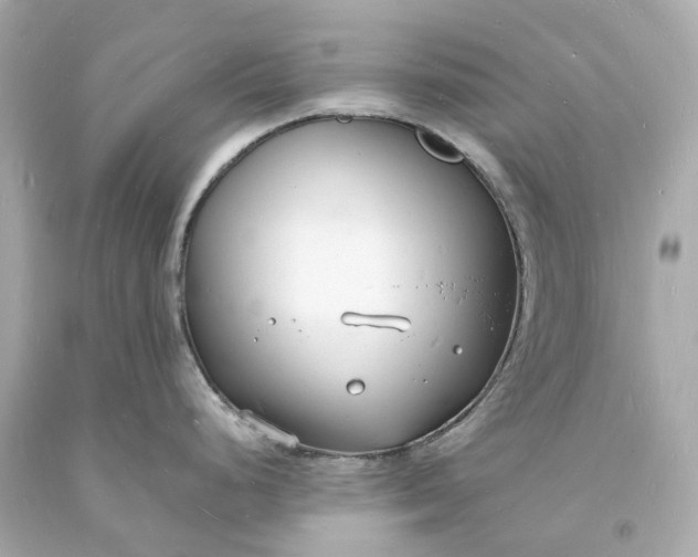 X0000093601248200710291137