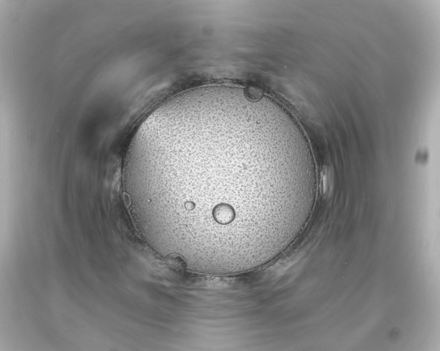 X0000093601251200710291136