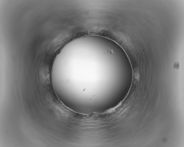 X0000093601252200710291136