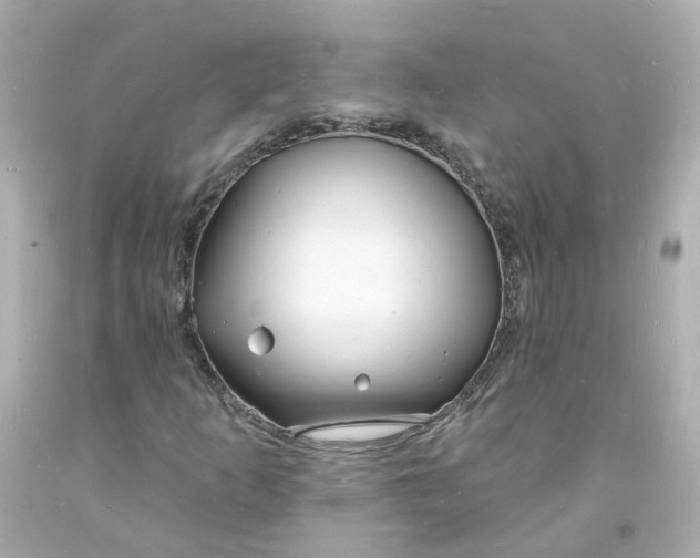 X0000093601253200710291136