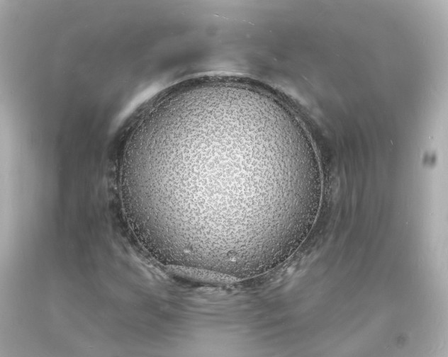 X0000093601255200710291136