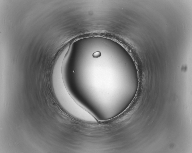 X0000093601257200710291136