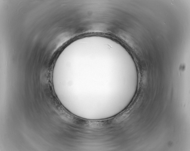 X0000093601258200710291136