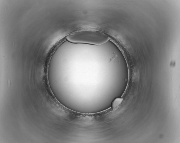 X0000093601261200710291136