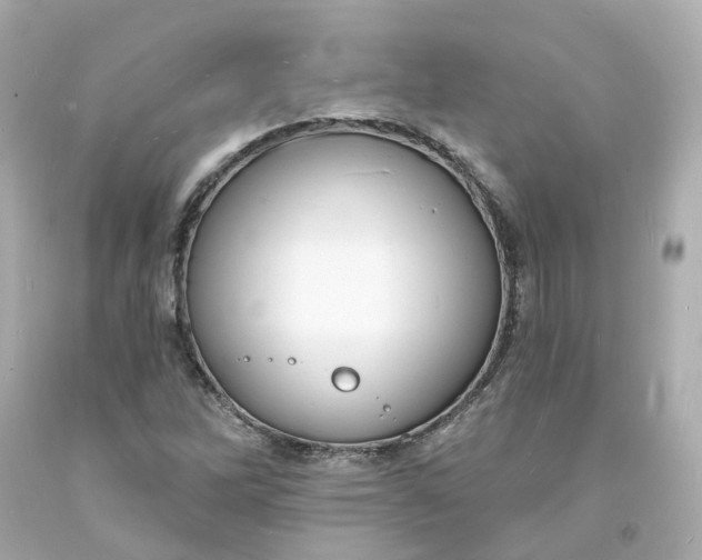 X0000093601262200710291136